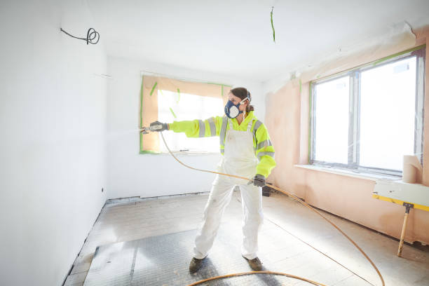 Best Mold Removal for HVAC Installations  in Manchester, MO